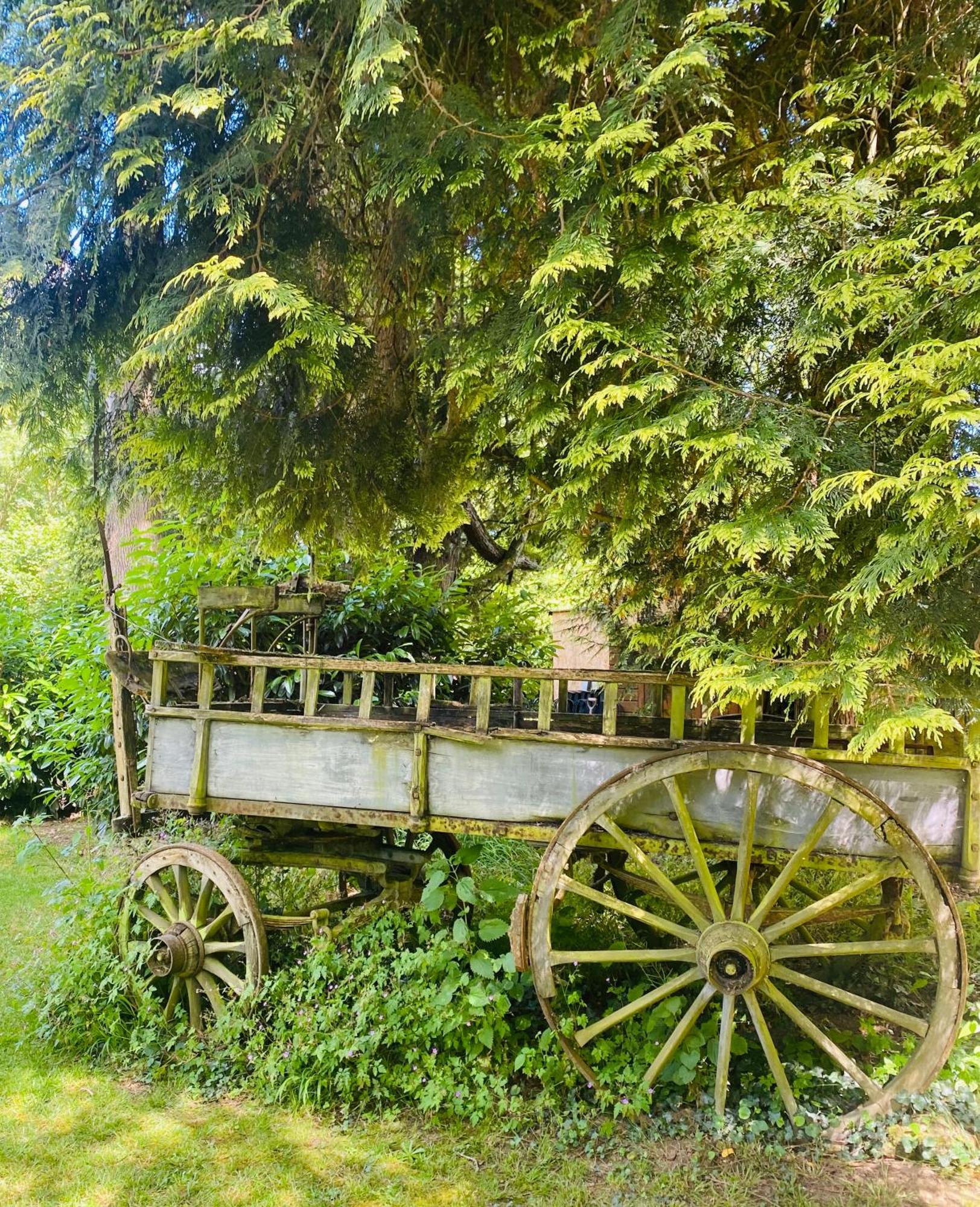 Moulin Du Fontcourt Bed & Breakfast Chasseneuil-sur-Bonnieure Exterior photo